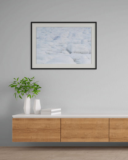 Amidst the Stillness, Canada, 2017