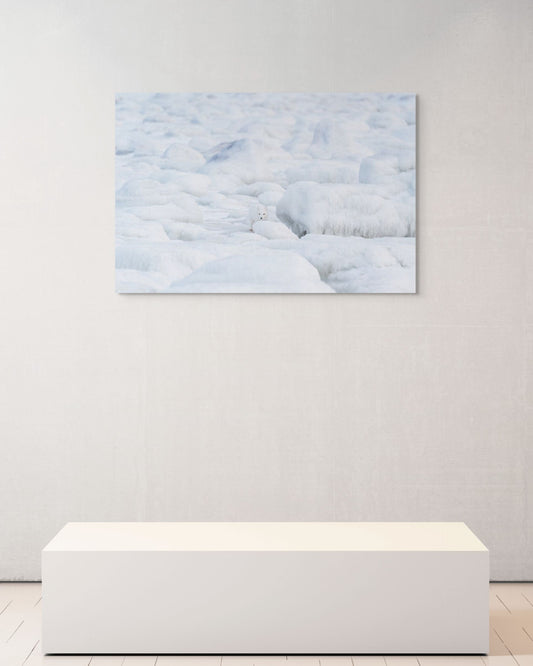 Amidst the Stillness, Canada, 2017