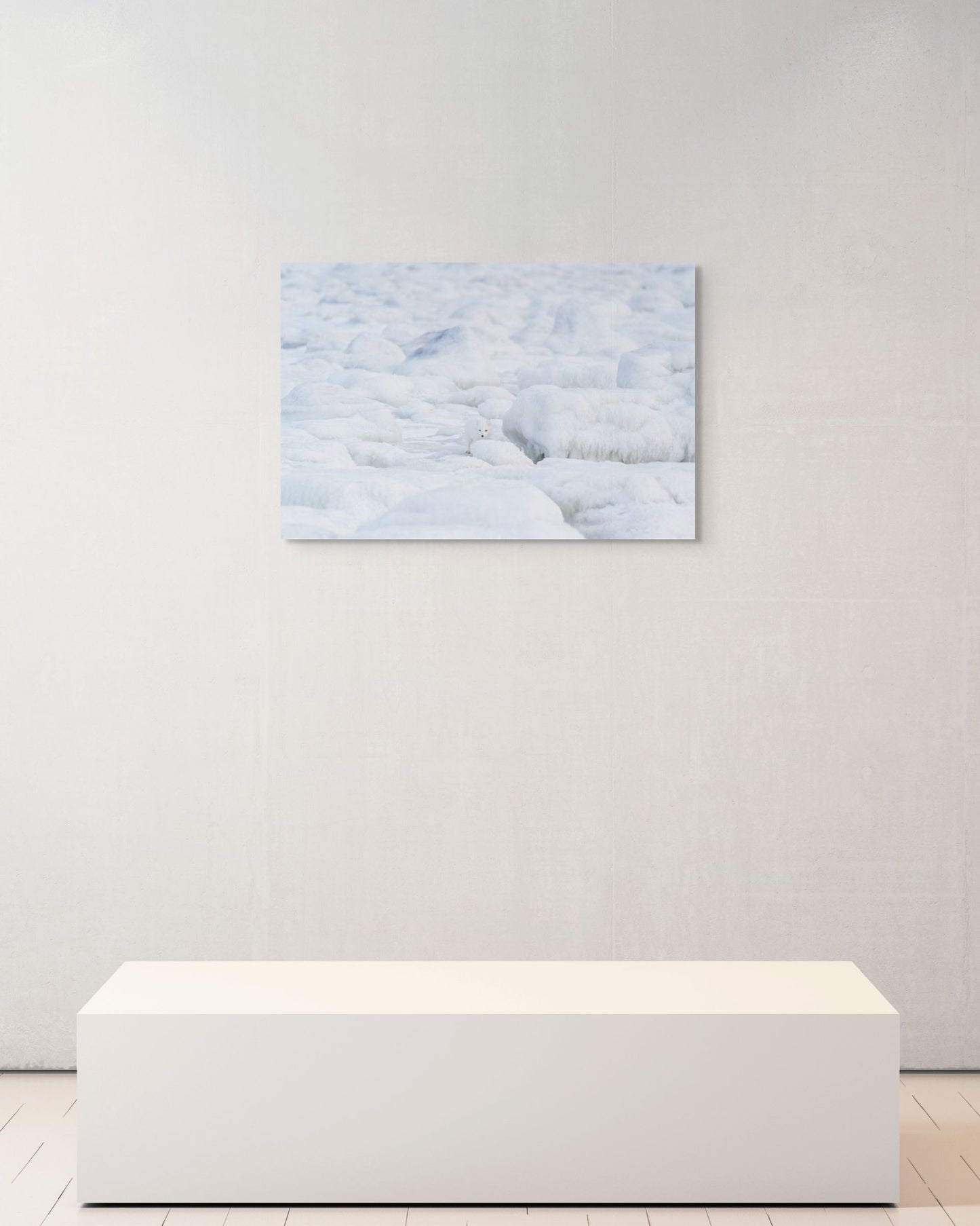 Amidst the Stillness, Canada, 2017