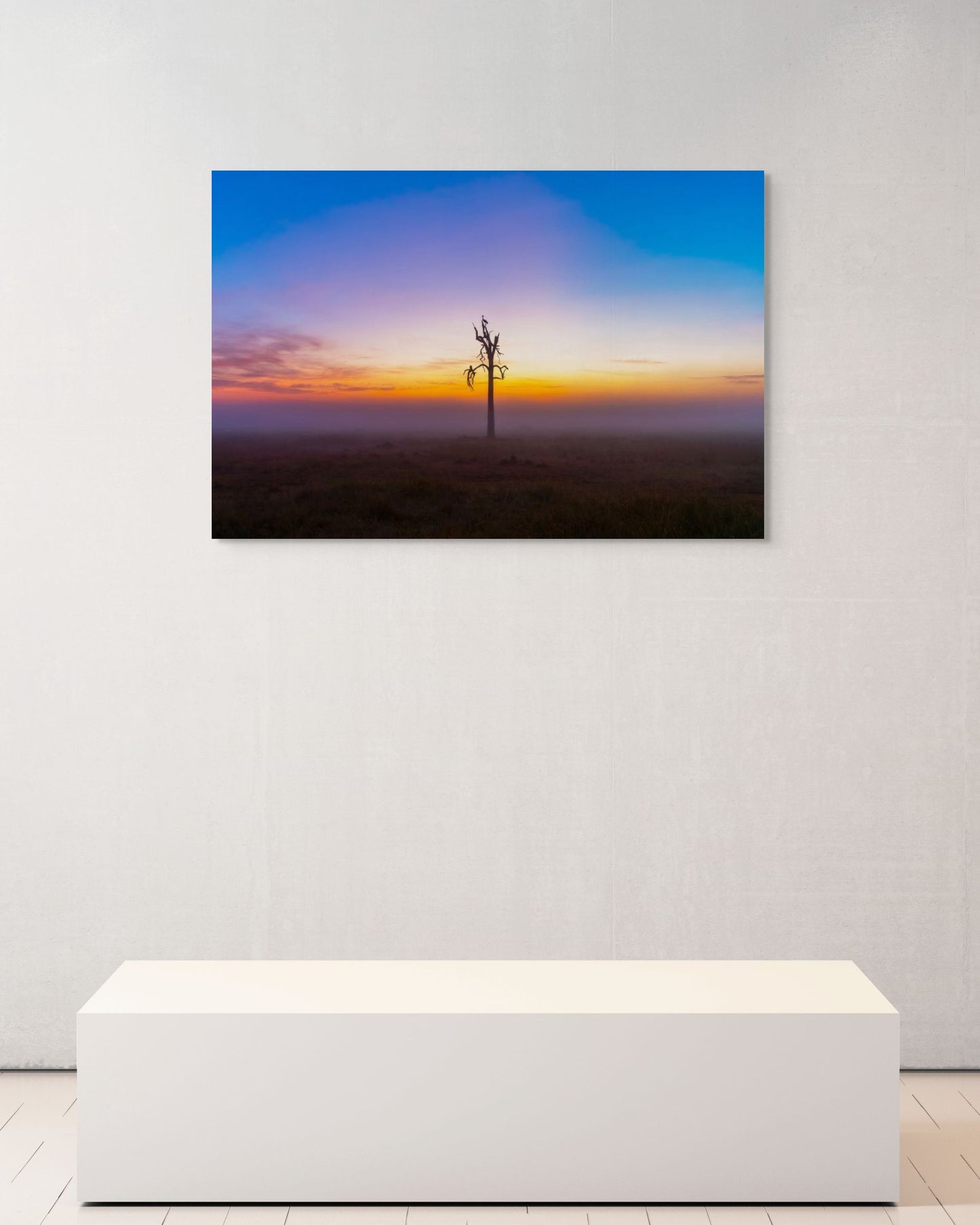 Dawn Watch, Kenya, 2018