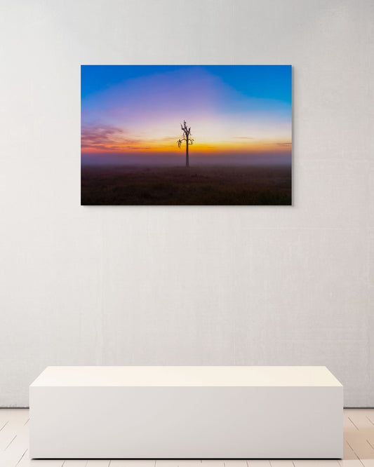 Dawn Watch, Kenya, 2018