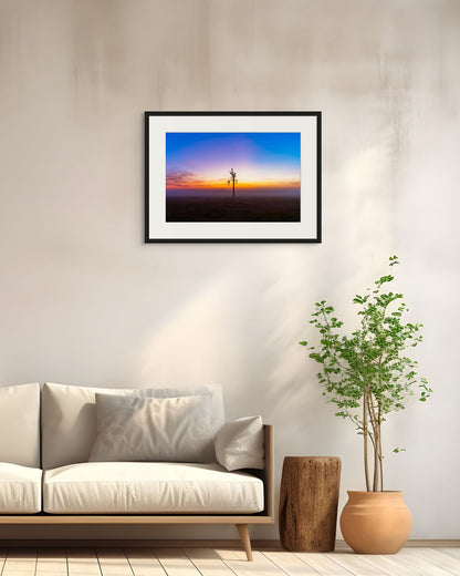 Dawn Watch, Kenya, 2018