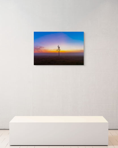 Dawn Watch, Kenya, 2018