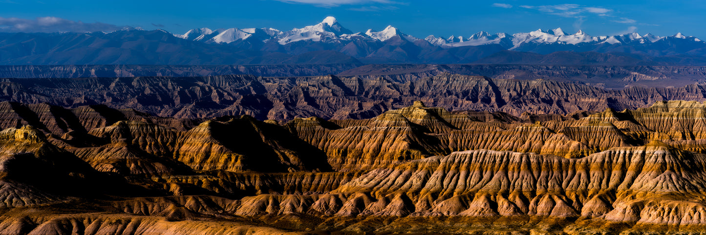 Forest of Earth, Tibet, 2019