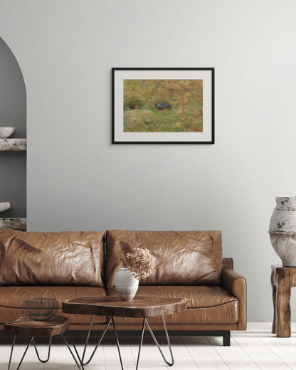 Grassland Journey, Kenya, 2018