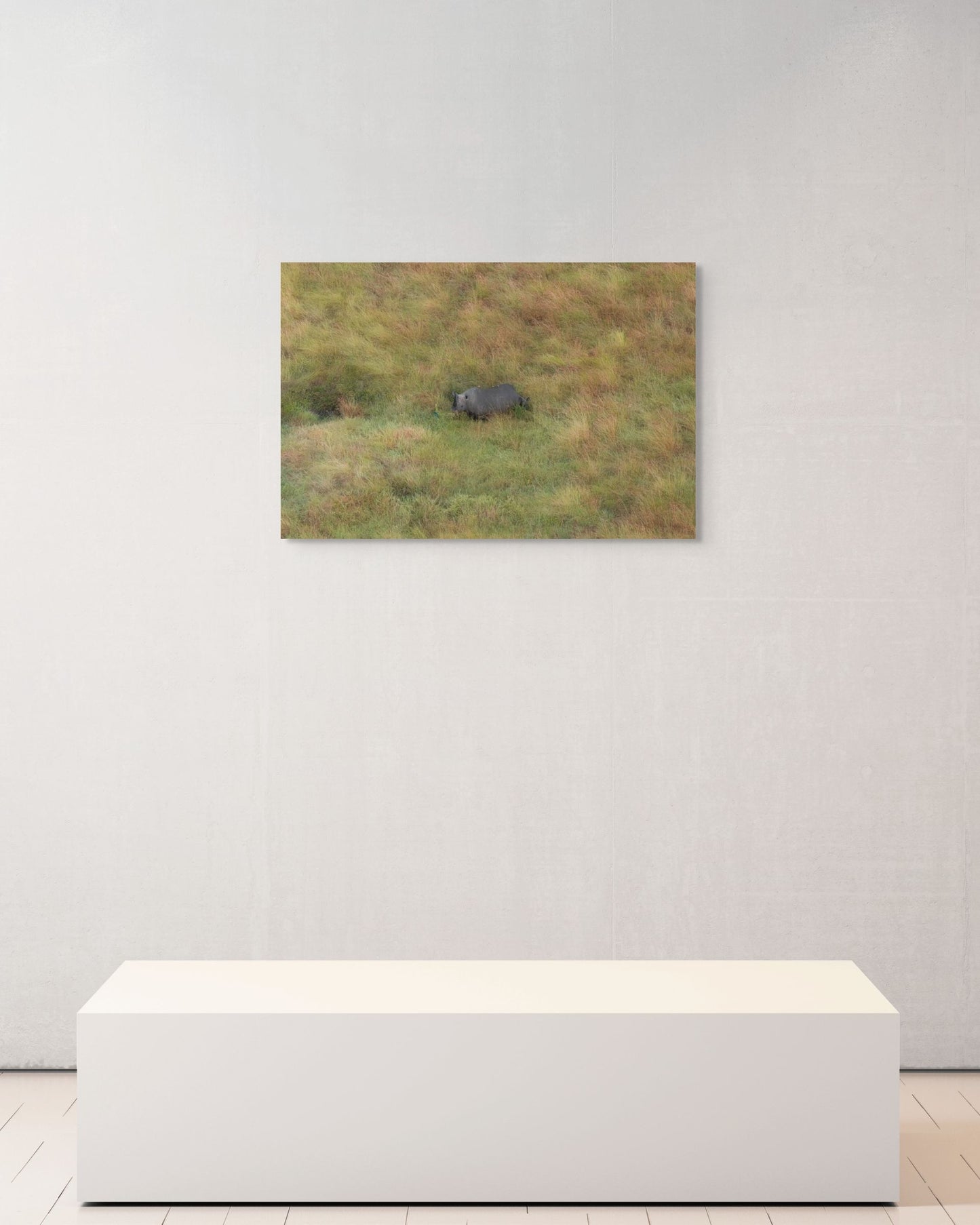 Grassland Journey, Kenya, 2018