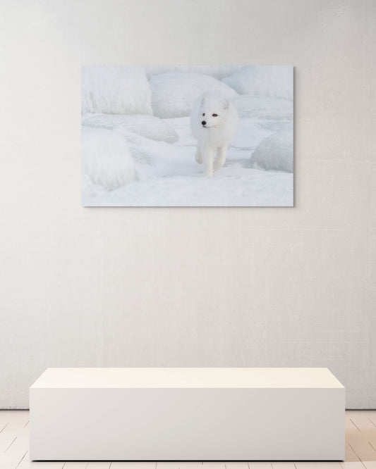 Hunter's Step, Canada, 2017