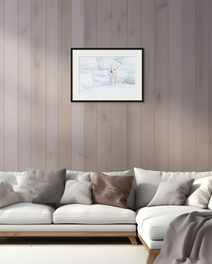 Hunter's Step, Canada, 2017