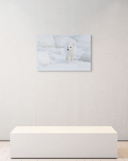 Hunter's Step, Canada, 2017