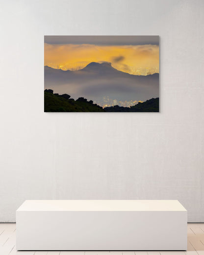 Lion in the Veil, Hong Kong, 2021