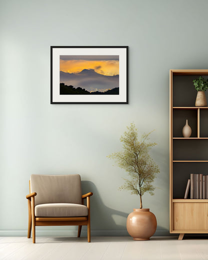 Lion in the Veil, Hong Kong, 2021