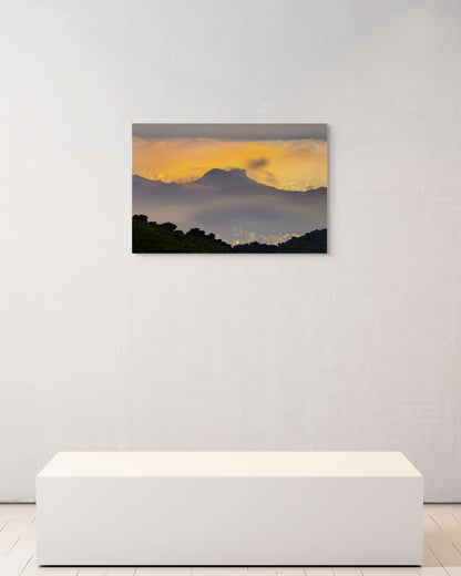 Lion in the Veil, Hong Kong, 2021