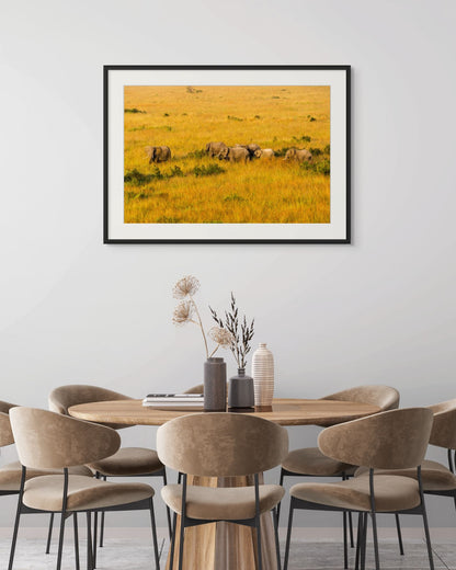 Morning Crossing, Kenya, 2018