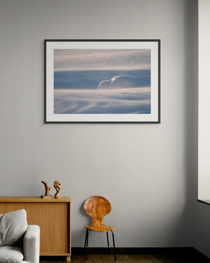 Resilience, Canada, 2017