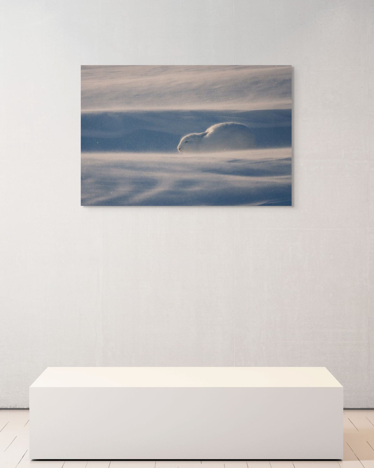 Resilience, Canada, 2017