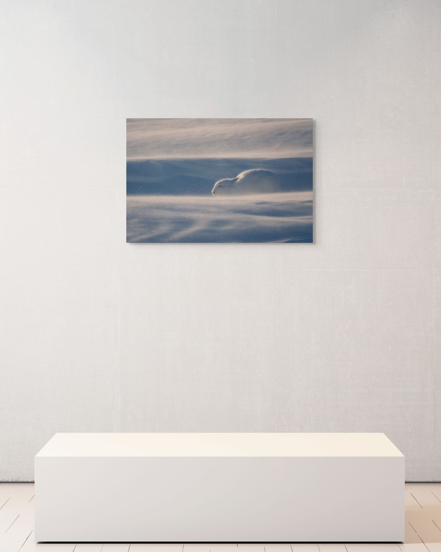 Resilience, Canada, 2017