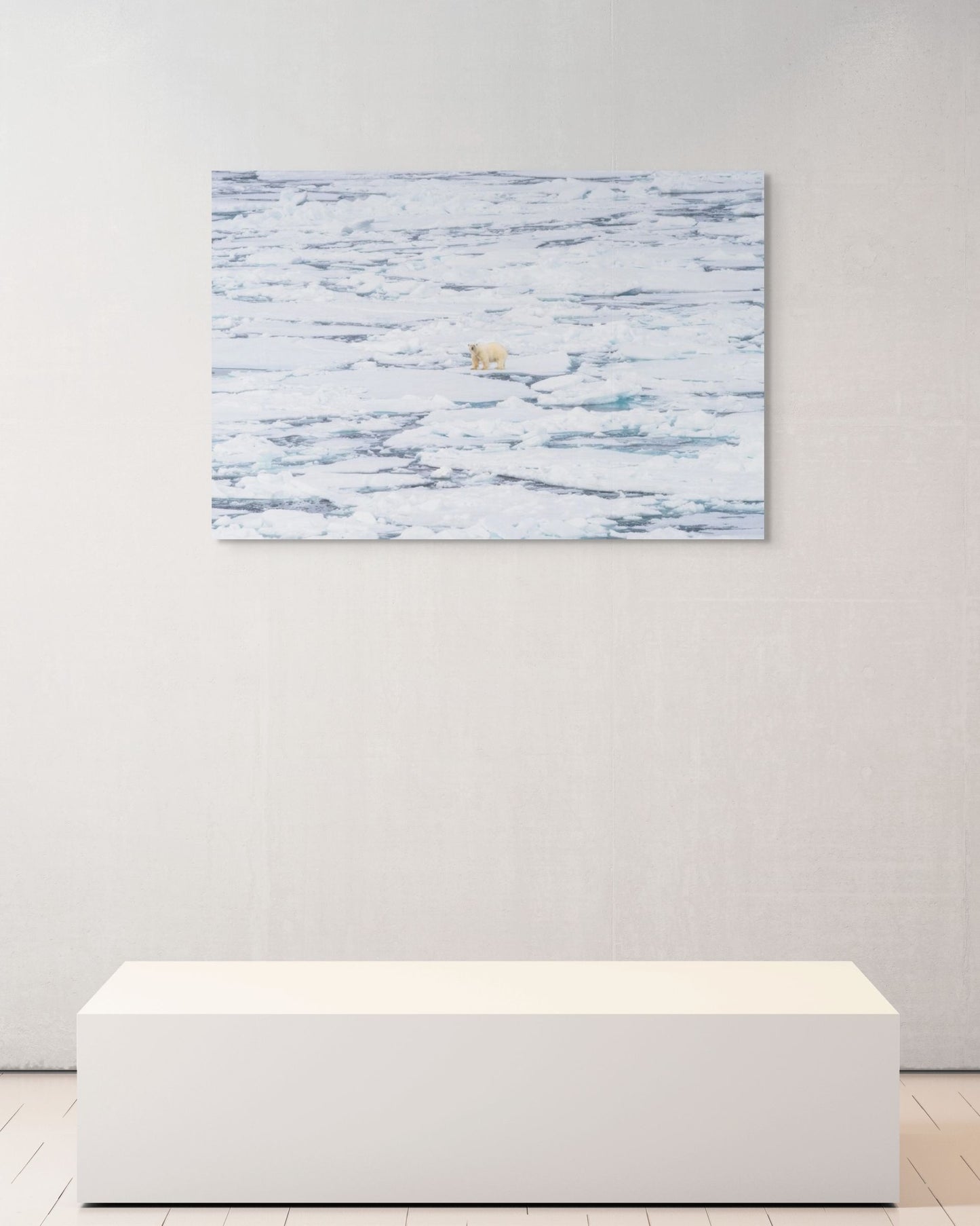 The Wanderer's Gaze, Svalbard, 2024