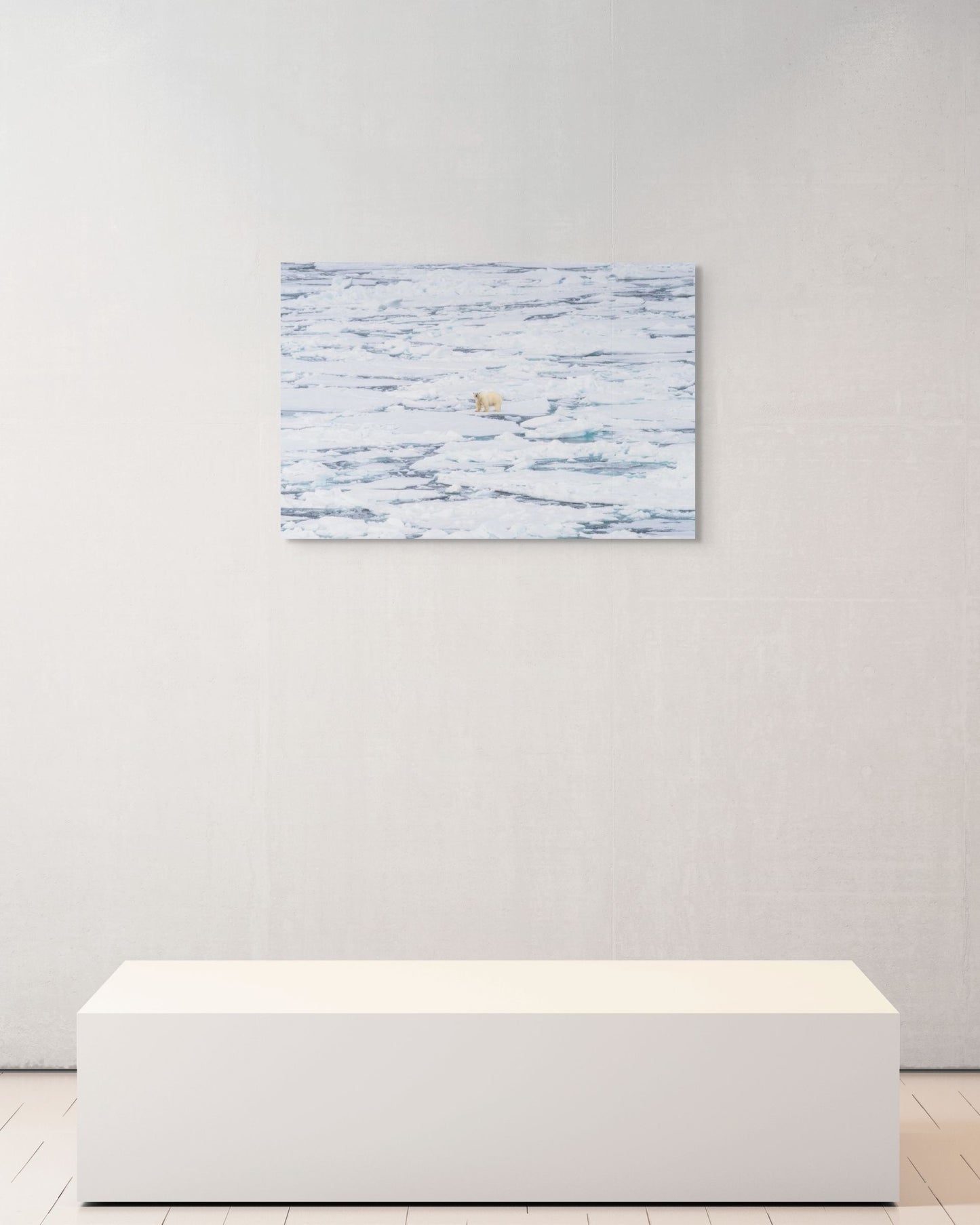 The Wanderer's Gaze, Svalbard, 2024