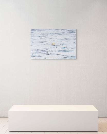 The Wanderer's Gaze, Svalbard, 2024