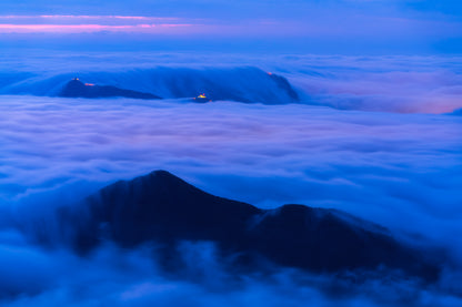 Tide of Blue, Hong Kong, 2020