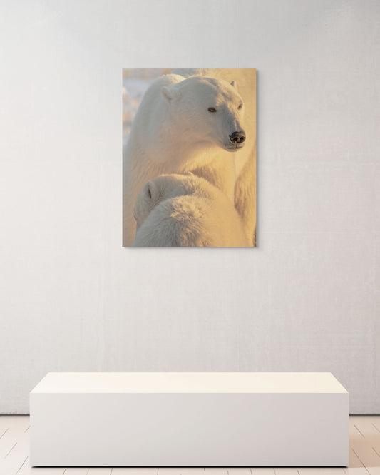 Under My Wing, Canada, 2017