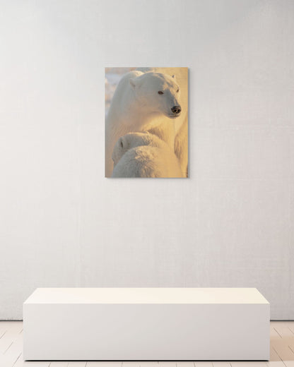 Under My Wing, Canada, 2017