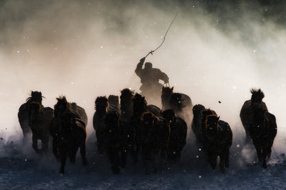 Winter Horseman, Inner Mongolia, 2015