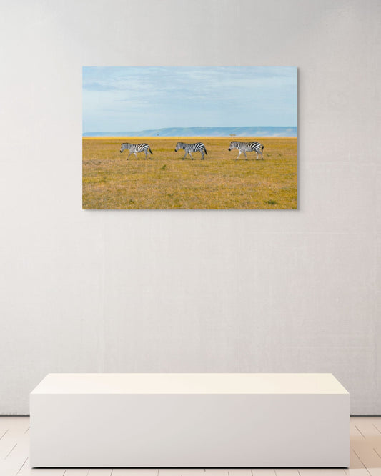 Zebra Crossing, Kenya, 2018