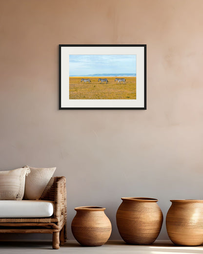 Zebra Crossing, Kenya, 2018