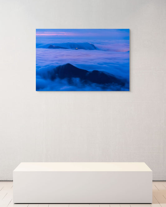 Tide of Blue, Hong Kong, 2020