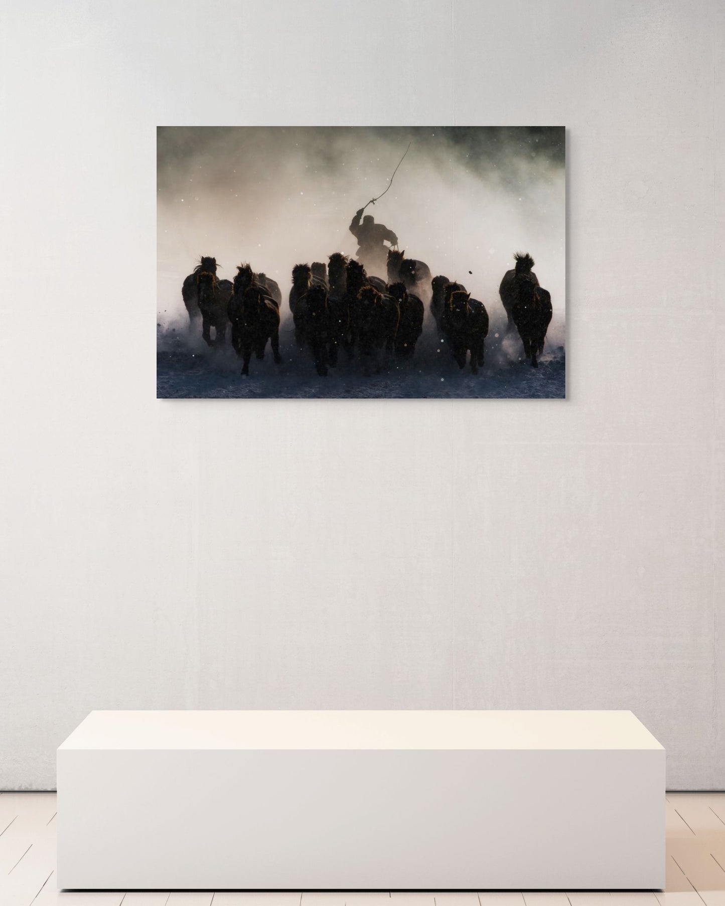 Winter Horseman, Inner Mongolia, 2015